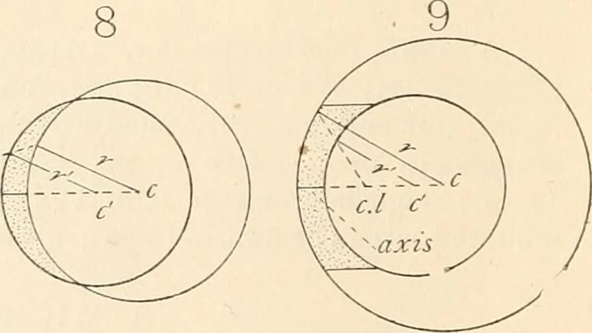 An illustration from The microscope : an introduction to microscopic methods and to histology, 1911, leaf 21