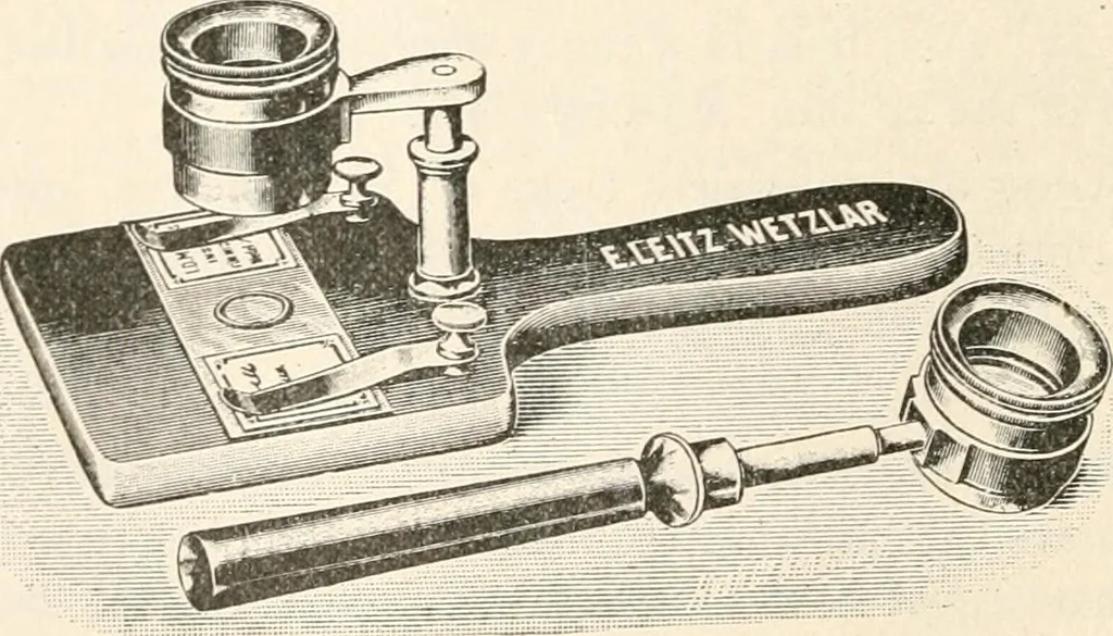 An illustration from The microscope : an introduction to microscopic methods and to histology, 1911, leaf 211