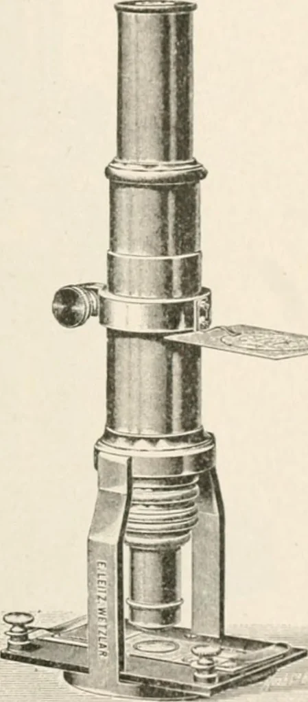 An illustration from The microscope : an introduction to microscopic methods and to histology, 1911, leaf 212