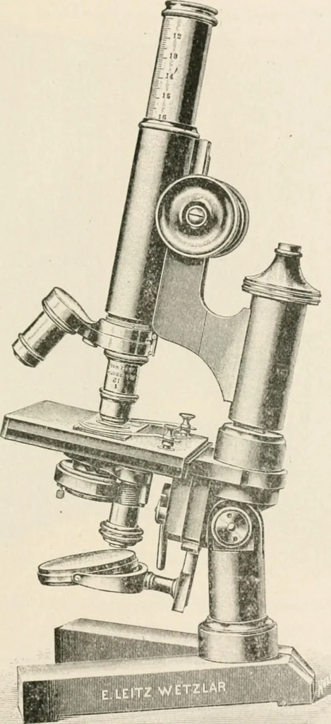 An illustration from The microscope : an introduction to microscopic methods and to histology, 1911, leaf 214