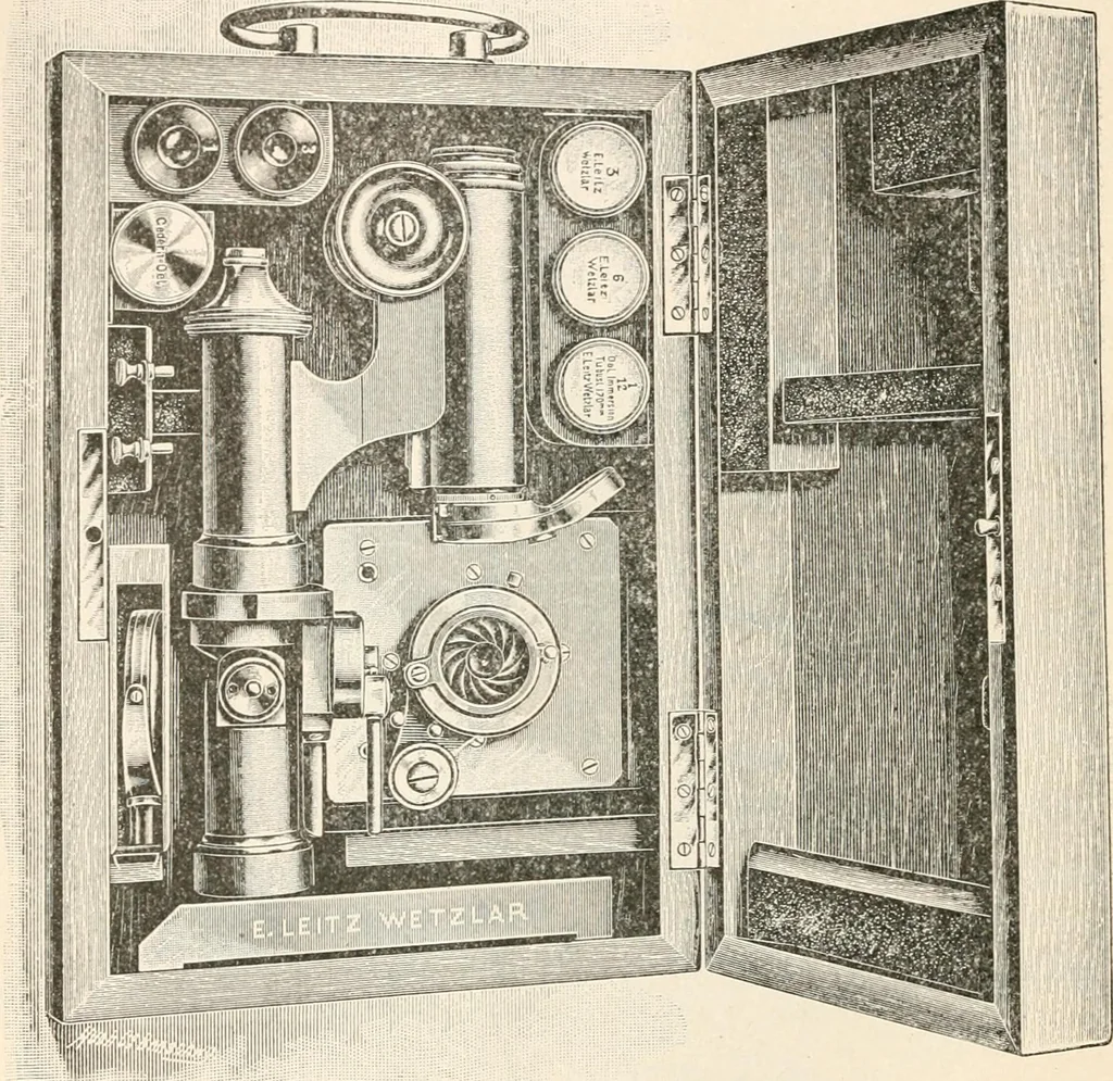An illustration from The microscope : an introduction to microscopic methods and to histology, 1911, leaf 215