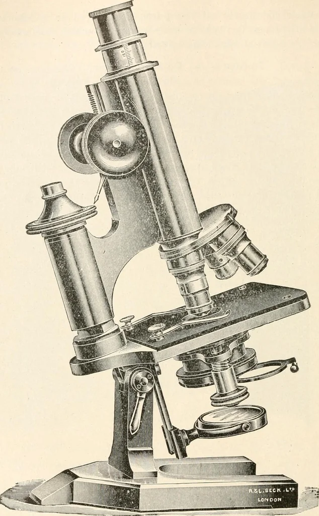 An illustration from The microscope : an introduction to microscopic methods and to histology, 1911, leaf 217