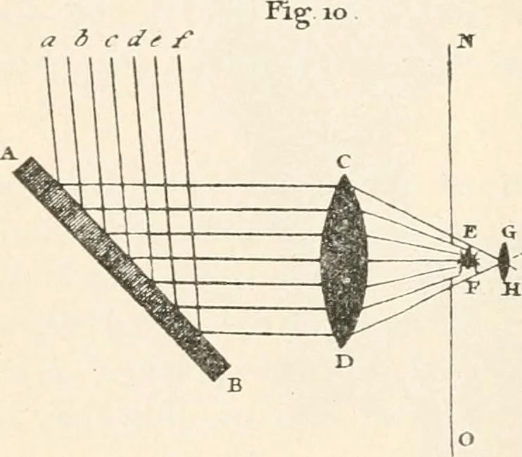 An illustration from The microscope : an introduction to microscopic methods and to histology, 1911, leaf 219