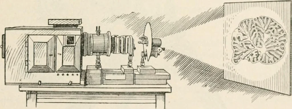An illustration from The microscope : an introduction to microscopic methods and to histology, 1911, leaf 220