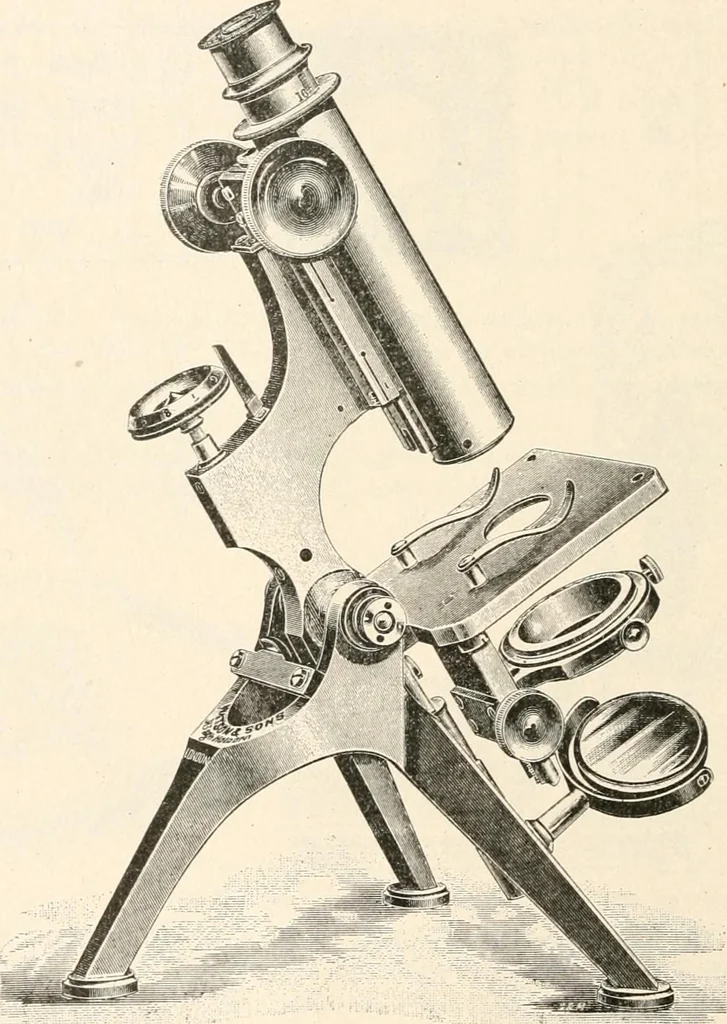 An illustration from The microscope : an introduction to microscopic methods and to histology, 1911, leaf 221