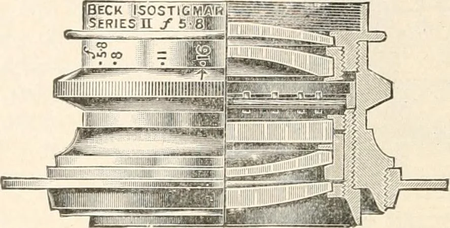 An illustration from The microscope : an introduction to microscopic methods and to histology, 1911, leaf 225