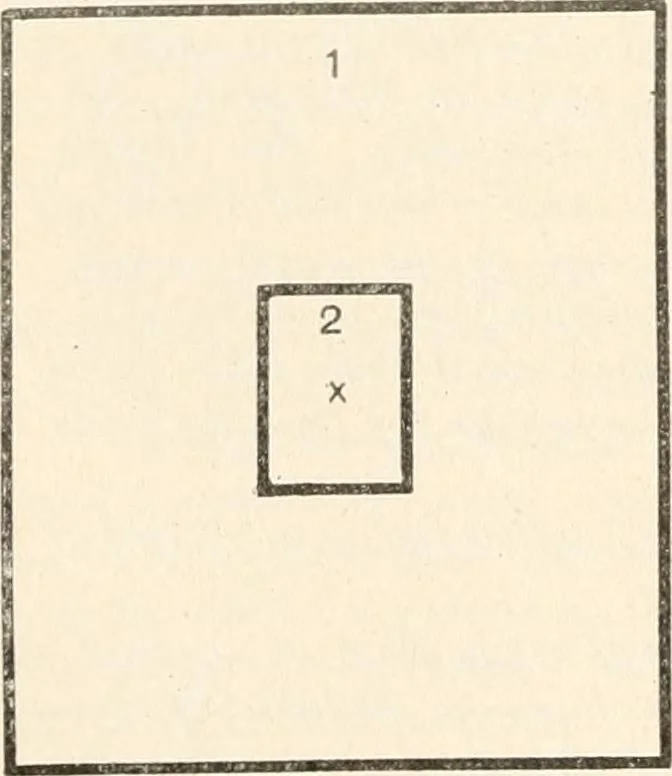 An illustration from The microscope : an introduction to microscopic methods and to histology, 1911, leaf 225