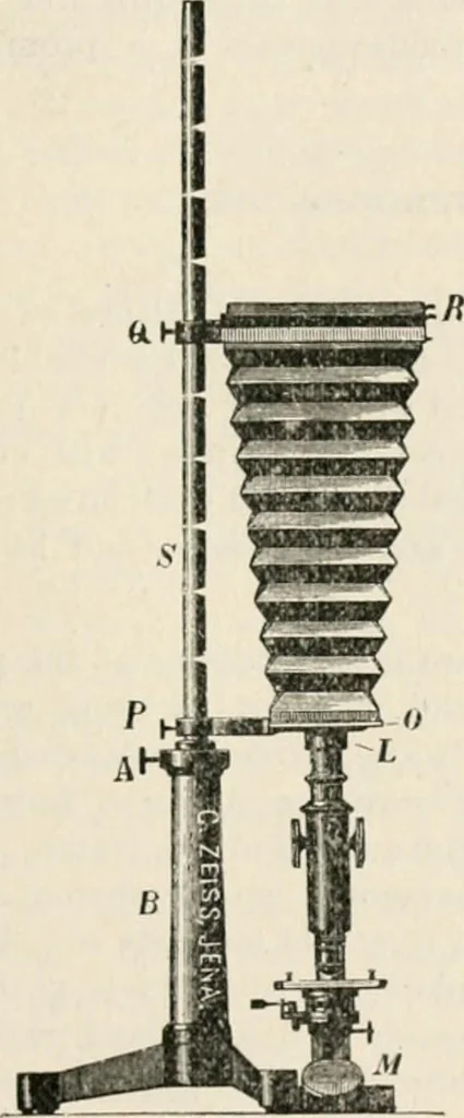 An illustration from The microscope : an introduction to microscopic methods and to histology, 1911, leaf 238