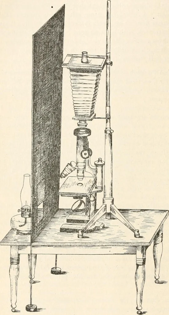 An illustration from The microscope : an introduction to microscopic methods and to histology, 1911, leaf 241