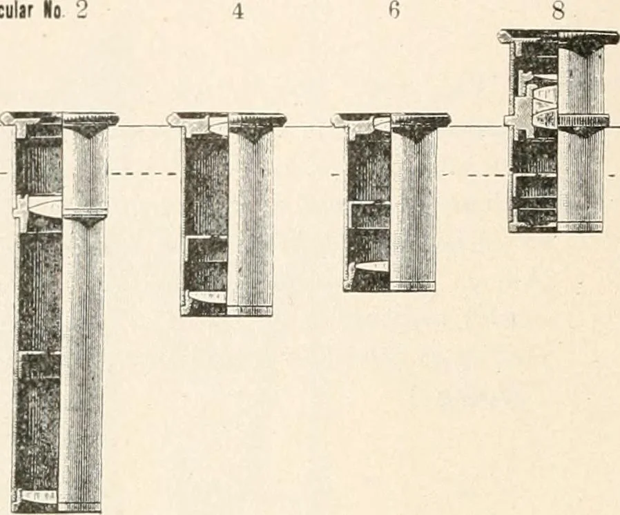 An illustration from The microscope : an introduction to microscopic methods and to histology, 1911, leaf 243