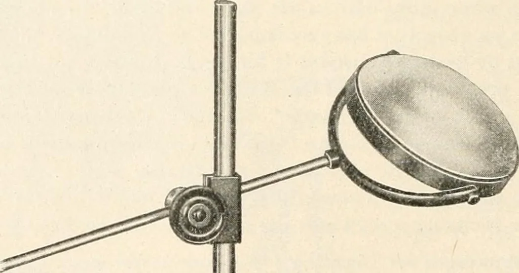 An illustration from The microscope : an introduction to microscopic methods and to histology, 1911, leaf 243