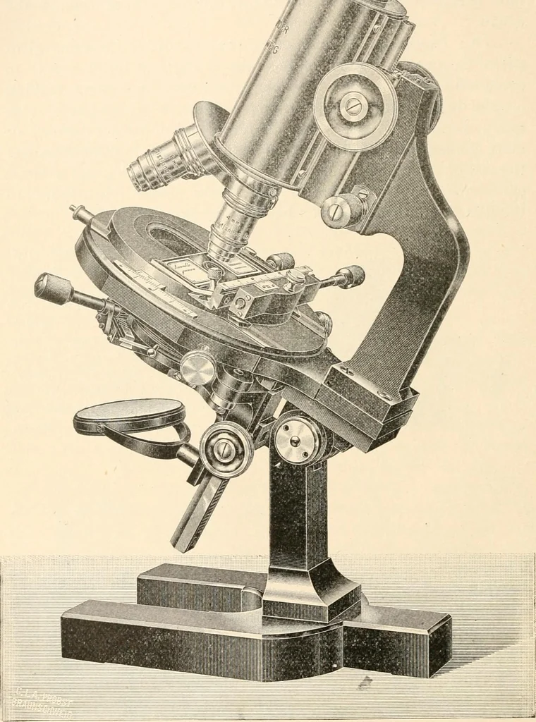 An illustration from The microscope : an introduction to microscopic methods and to histology, 1911, leaf 249