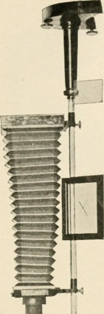 An illustration from The microscope : an introduction to microscopic methods and to histology, 1911, leaf 252