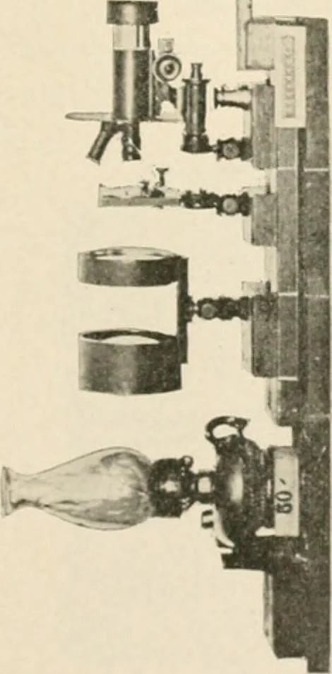 An illustration from The microscope : an introduction to microscopic methods and to histology, 1911, leaf 252