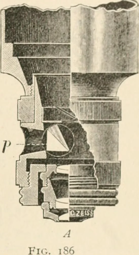 An illustration from The microscope : an introduction to microscopic methods and to histology, 1911, leaf 258