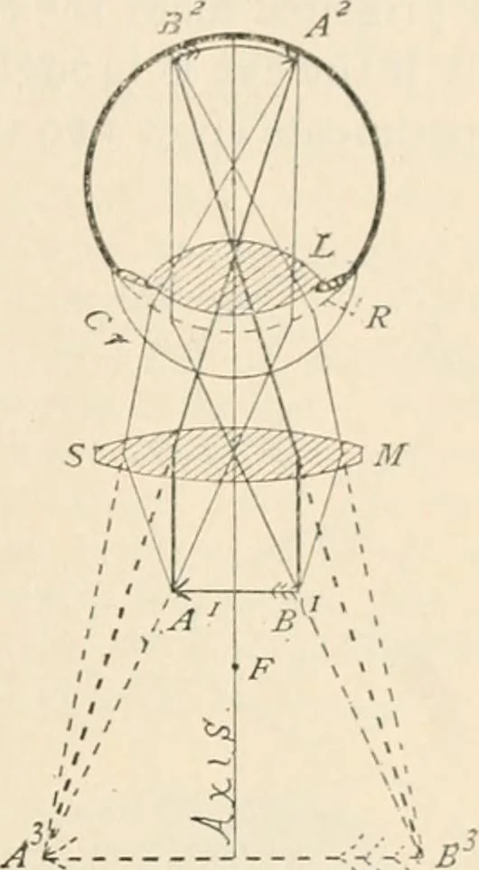 An illustration from The microscope : an introduction to microscopic methods and to histology, 1911, leaf 26