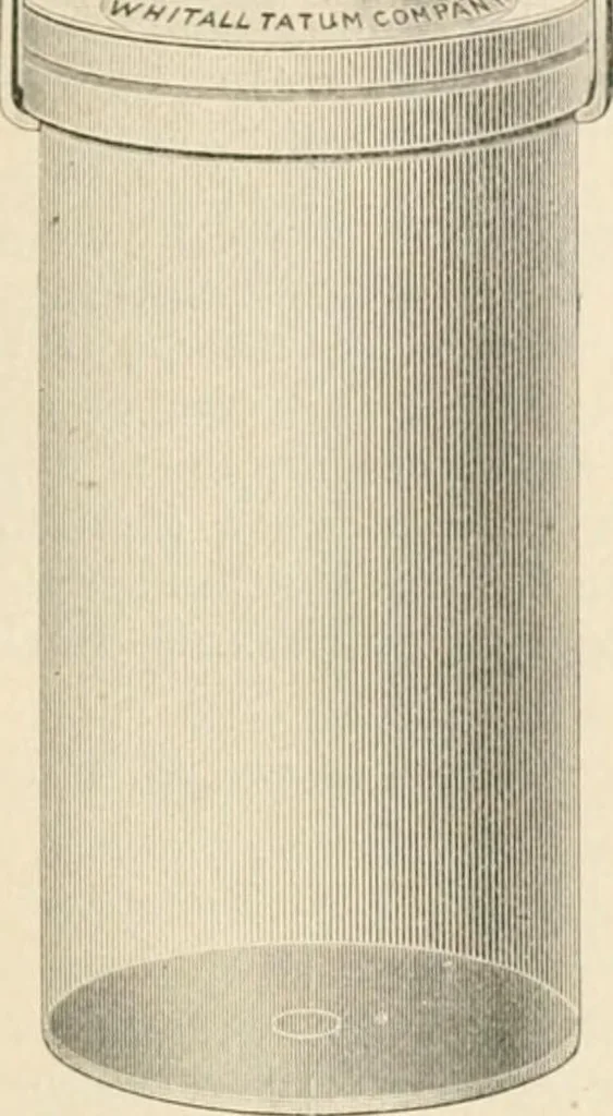 An illustration from The microscope : an introduction to microscopic methods and to histology, 1911, leaf 266