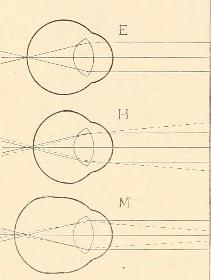An illustration from The microscope : an introduction to microscopic methods and to histology, 1911, leaf 27