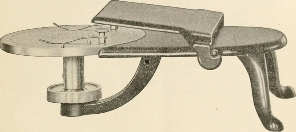 An illustration from The microscope : an introduction to microscopic methods and to histology, 1911, leaf 272