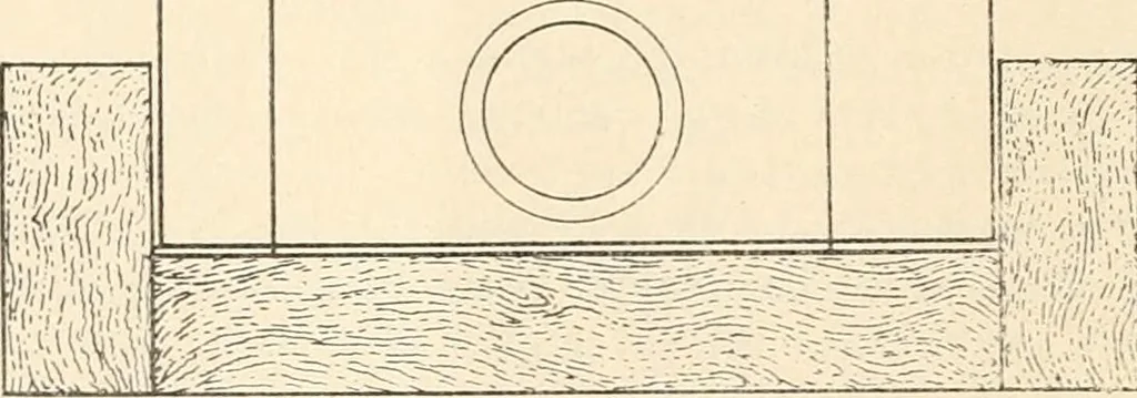 An illustration from The microscope : an introduction to microscopic methods and to histology, 1911, leaf 273