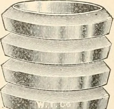 An illustration from The microscope : an introduction to microscopic methods and to histology, 1911, leaf 279