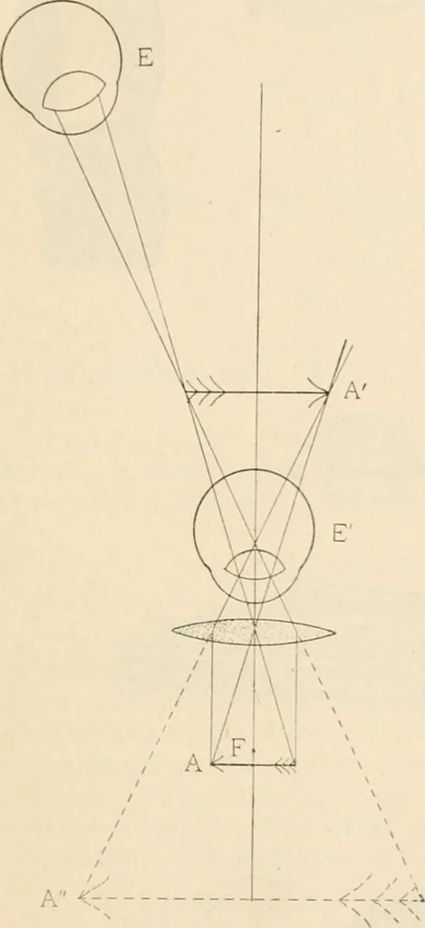 An illustration from The microscope : an introduction to microscopic methods and to histology, 1911, leaf 28