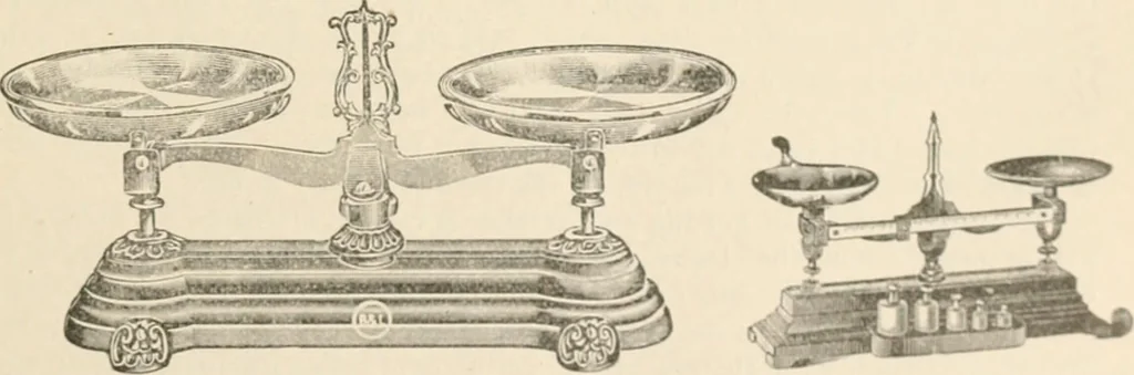An illustration from The microscope : an introduction to microscopic methods and to histology, 1911, leaf 288