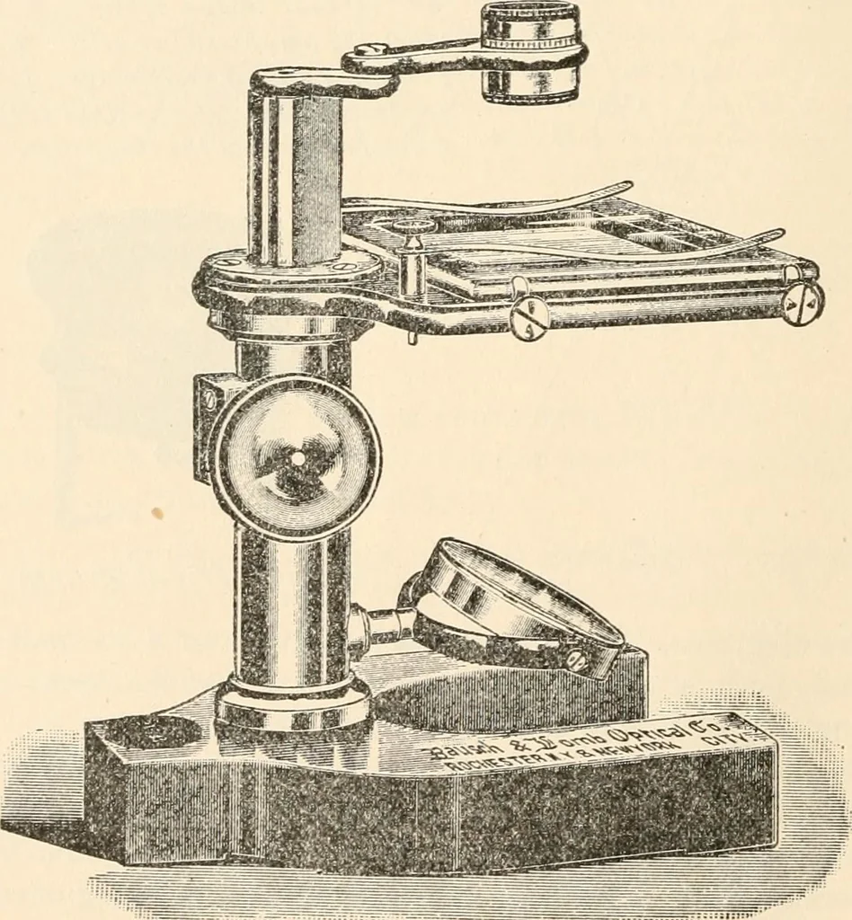 An illustration from The microscope : an introduction to microscopic methods and to histology, 1911, leaf 29