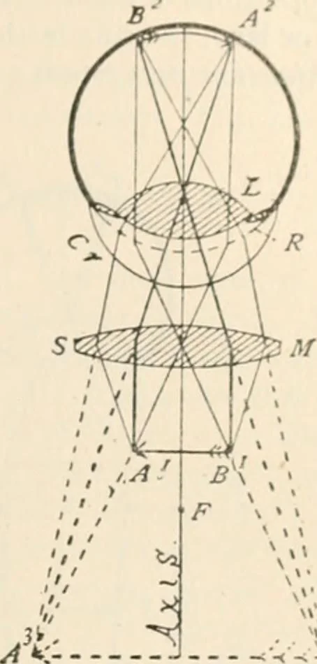 An illustration from The microscope : an introduction to microscopic methods and to histology, 1911, leaf 30
