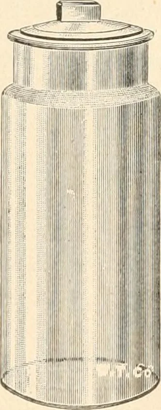 An illustration from The microscope : an introduction to microscopic methods and to histology, 1911, leaf 303