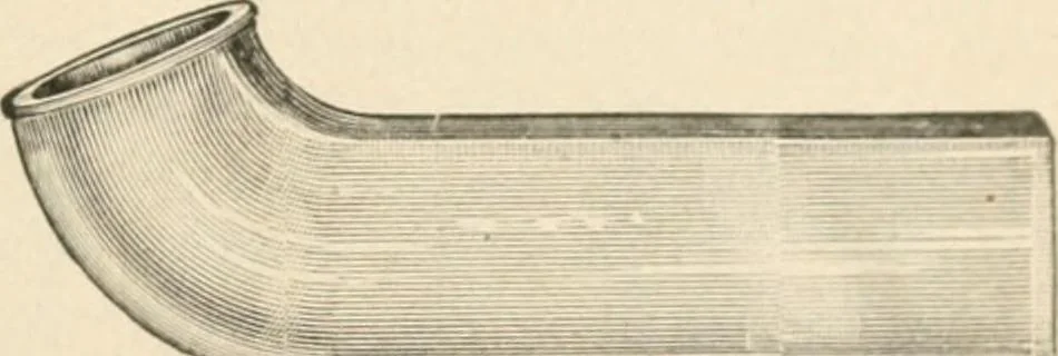 An illustration from The microscope : an introduction to microscopic methods and to histology, 1911, leaf 304