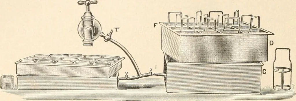 An illustration from The microscope : an introduction to microscopic methods and to histology, 1911, leaf 305