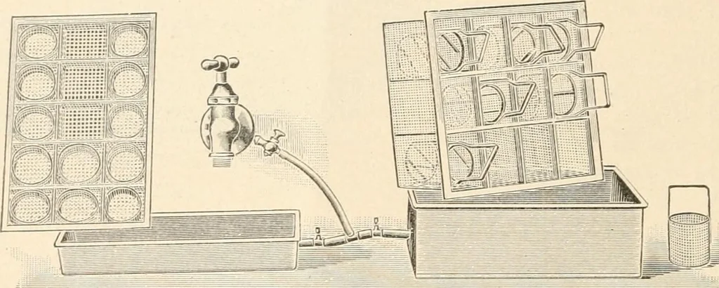 An illustration from The microscope : an introduction to microscopic methods and to histology, 1911, leaf 305