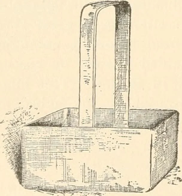 An illustration from The microscope : an introduction to microscopic methods and to histology, 1911, leaf 311