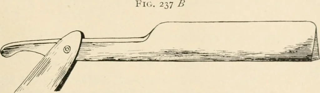 An illustration from The microscope : an introduction to microscopic methods and to histology, 1911, leaf 318