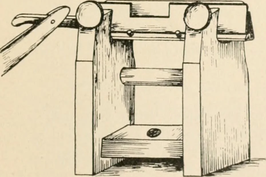 An illustration from The microscope : an introduction to microscopic methods and to histology, 1911, leaf 318