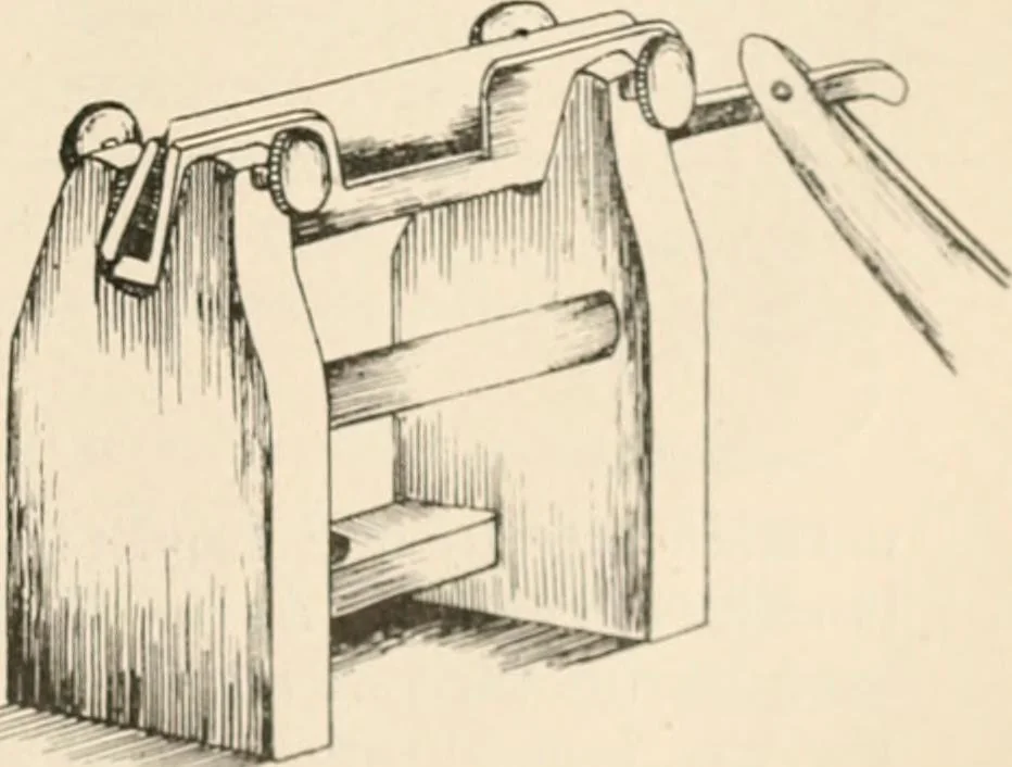 An illustration from The microscope : an introduction to microscopic methods and to histology, 1911, leaf 318