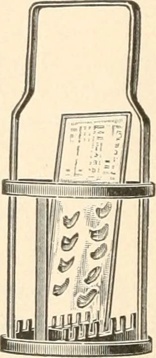 An illustration from The microscope : an introduction to microscopic methods and to histology, 1911, leaf 321