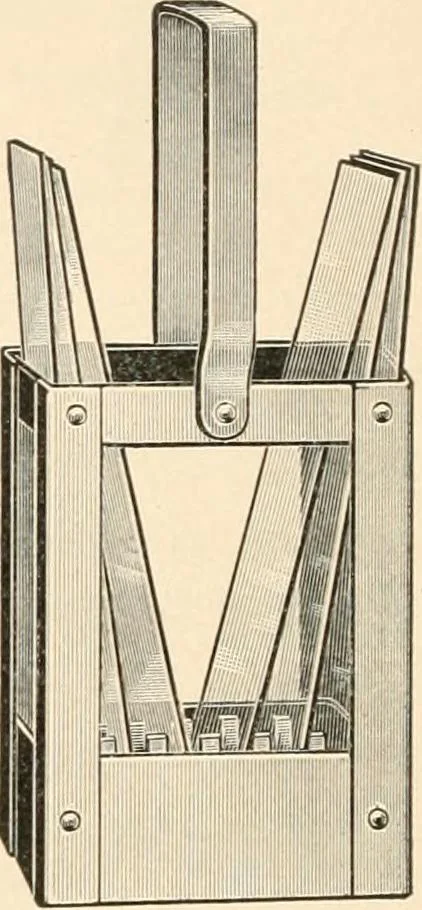An illustration from The microscope : an introduction to microscopic methods and to histology, 1911, leaf 321