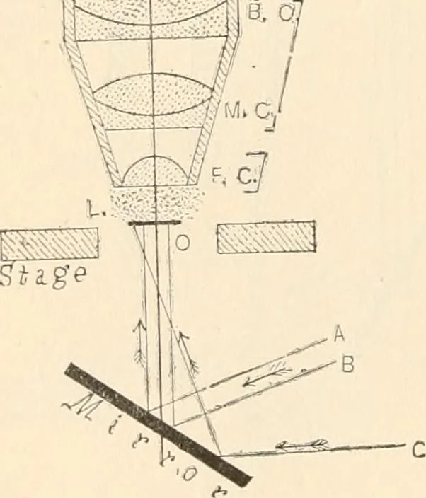 An illustration from The microscope : an introduction to microscopic methods and to histology, 1911, leaf 33