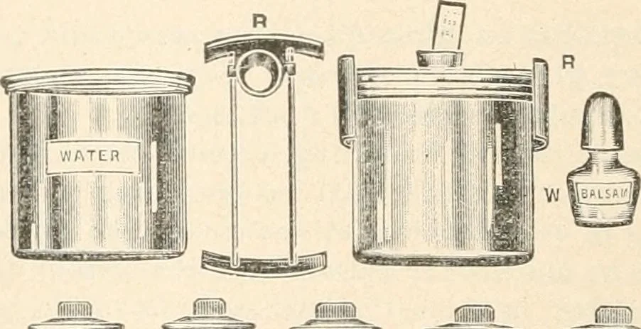 An illustration from The microscope : an introduction to microscopic methods and to histology, 1911, leaf 331