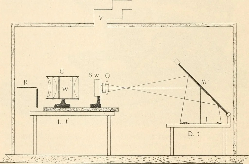 An illustration from The microscope : an introduction to microscopic methods and to histology, 1911, leaf 349