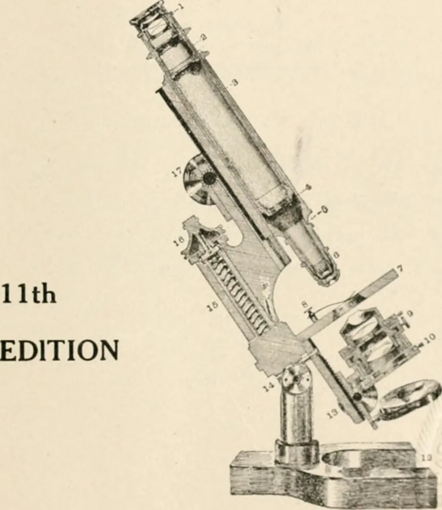 An illustration from The microscope : an introduction to microscopic methods and to histology, 1911, leaf 4