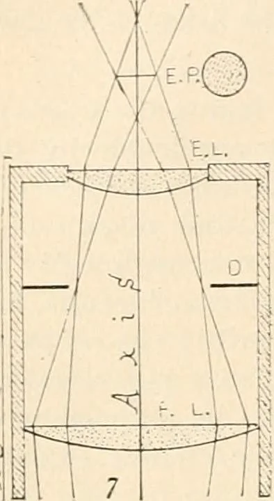 An illustration from The microscope : an introduction to microscopic methods and to histology, 1911, leaf 45