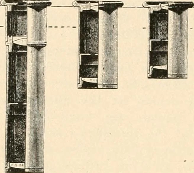 An illustration from The microscope : an introduction to microscopic methods and to histology, 1911, leaf 47