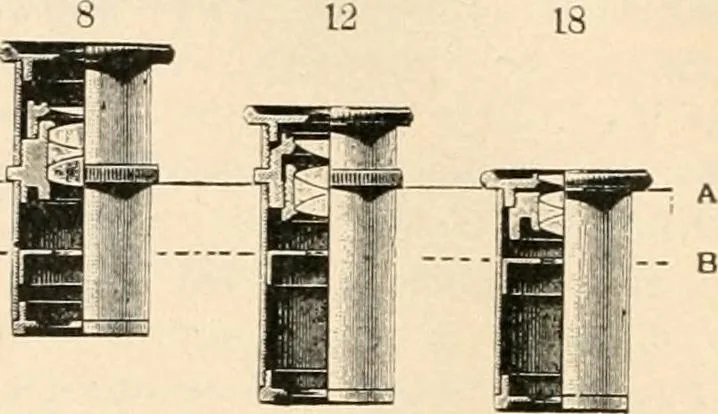 An illustration from The microscope : an introduction to microscopic methods and to histology, 1911, leaf 47