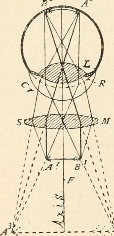 An illustration from The microscope : an introduction to microscopic methods and to histology, 1911, leaf 55