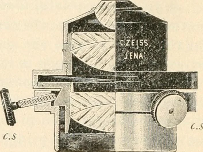 An illustration from The microscope : an introduction to microscopic methods and to histology, 1911, leaf 69