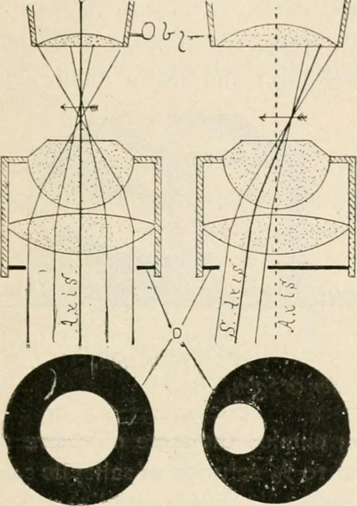An illustration from The microscope : an introduction to microscopic methods and to histology, 1911, leaf 76