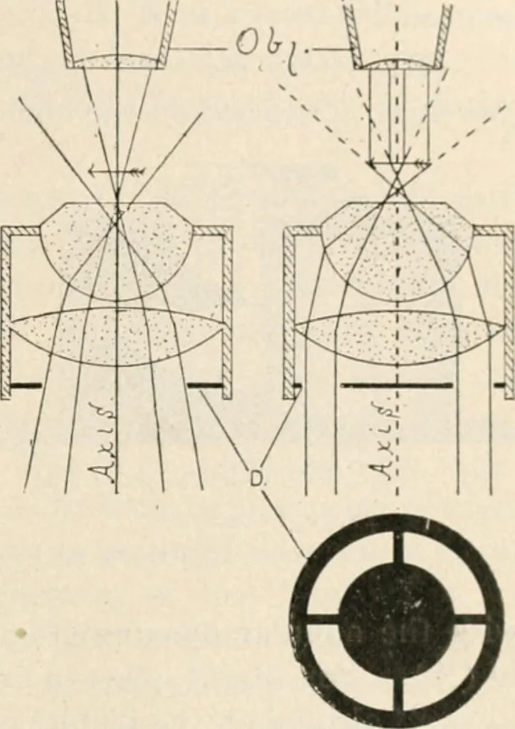 An illustration from The microscope : an introduction to microscopic methods and to histology, 1911, leaf 76